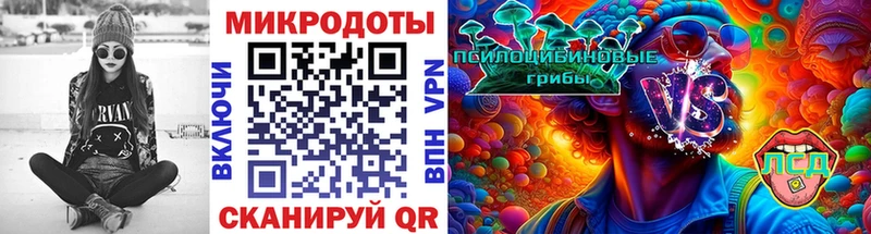Галлюциногенные грибы Psilocybe  Купить где  Лениногорск 
